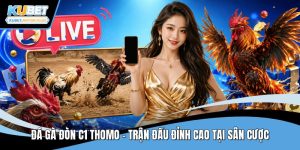Đá gà đòn c1 thomo