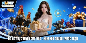 Đá gà trực tuyến cựa dao